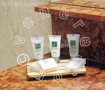 Hotel Holiday Inn Nice 16